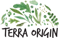 Terra Origin